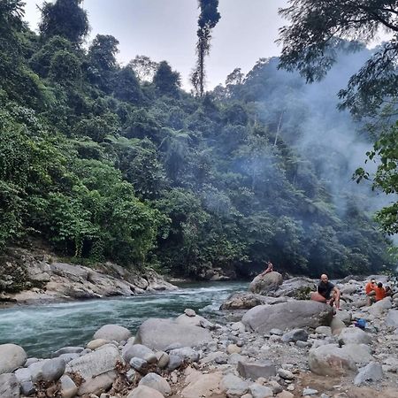 בוקיט לוואנג Lucky Bamboo'Bungalows-Resto And Orangutan Jungle Trekking Tours מראה חיצוני תמונה