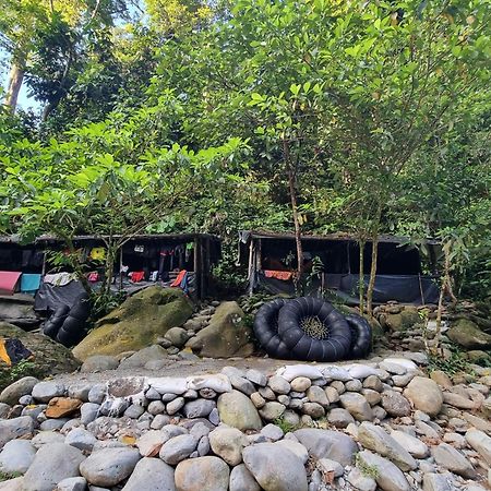 בוקיט לוואנג Lucky Bamboo'Bungalows-Resto And Orangutan Jungle Trekking Tours מראה חיצוני תמונה