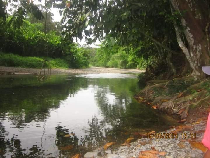 בוקיט לוואנג Lucky Bamboo'Bungalows-Resto And Orangutan Jungle Trekking Tours מראה חיצוני תמונה
