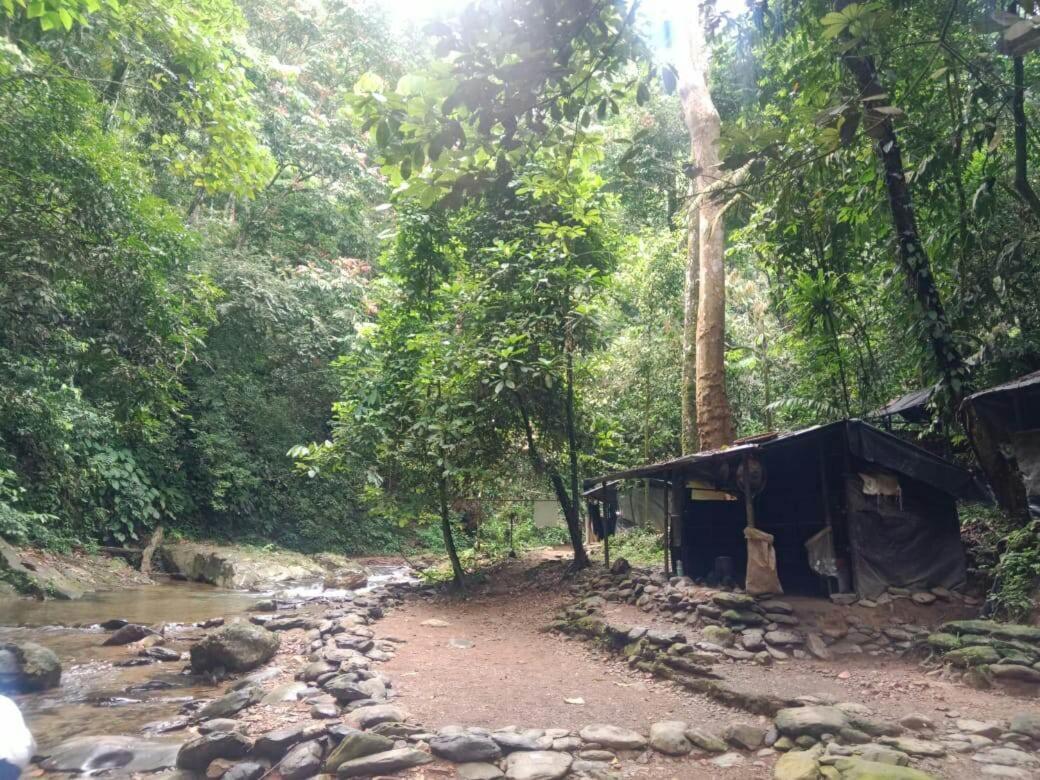 בוקיט לוואנג Lucky Bamboo'Bungalows-Resto And Orangutan Jungle Trekking Tours מראה חיצוני תמונה