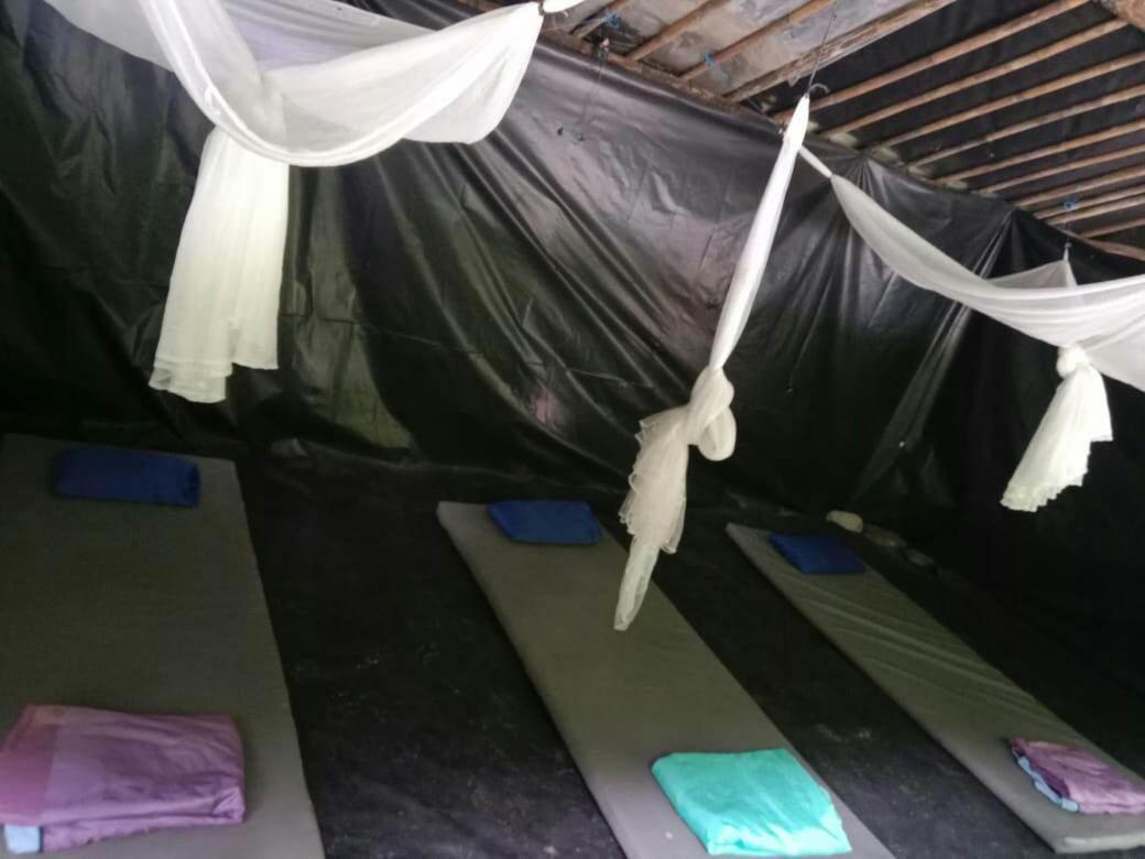 בוקיט לוואנג Lucky Bamboo'Bungalows-Resto And Orangutan Jungle Trekking Tours מראה חיצוני תמונה